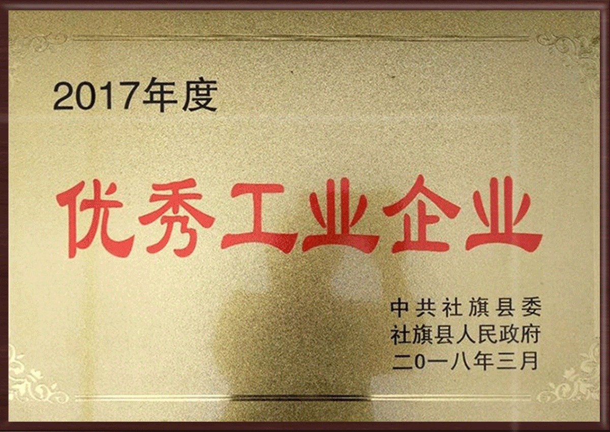 Outstanding Industrial Enterprise